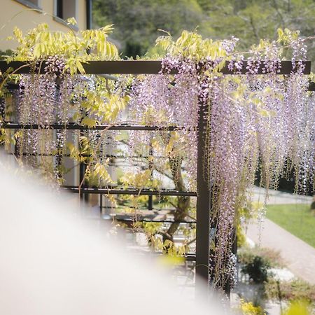 Agriturismo La Valle Di Vico Капрарола Екстериор снимка