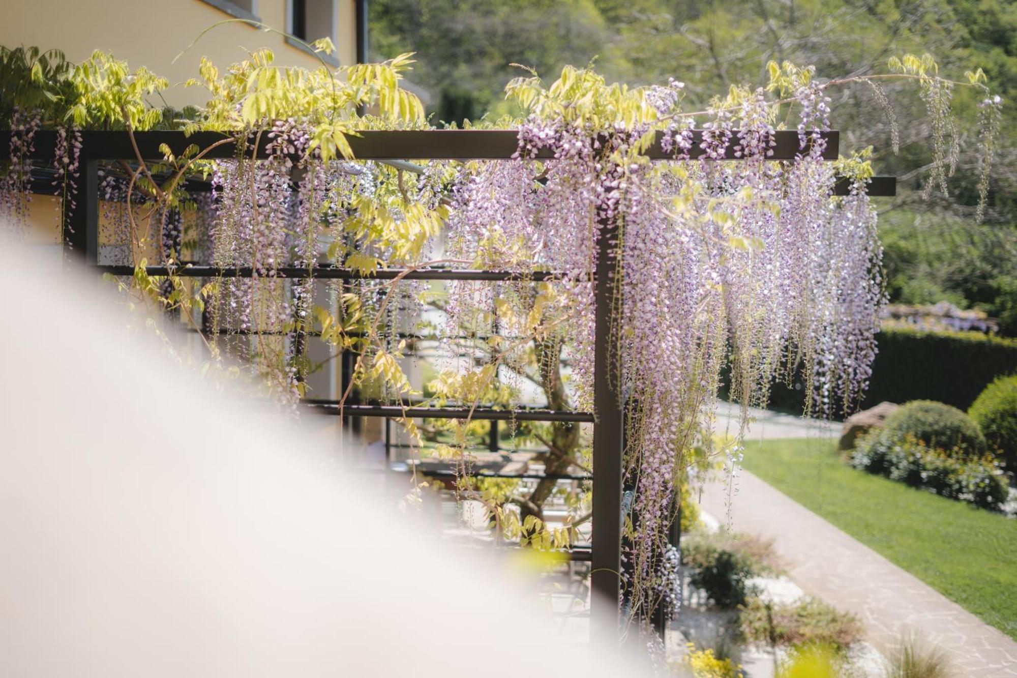 Agriturismo La Valle Di Vico Капрарола Екстериор снимка