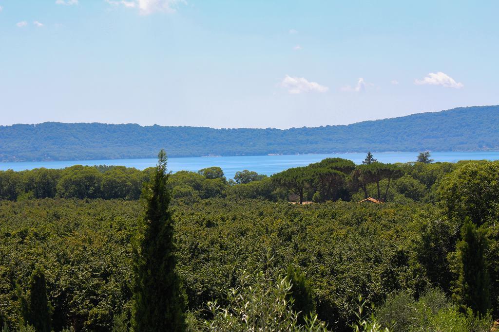 Agriturismo La Valle Di Vico Капрарола Екстериор снимка